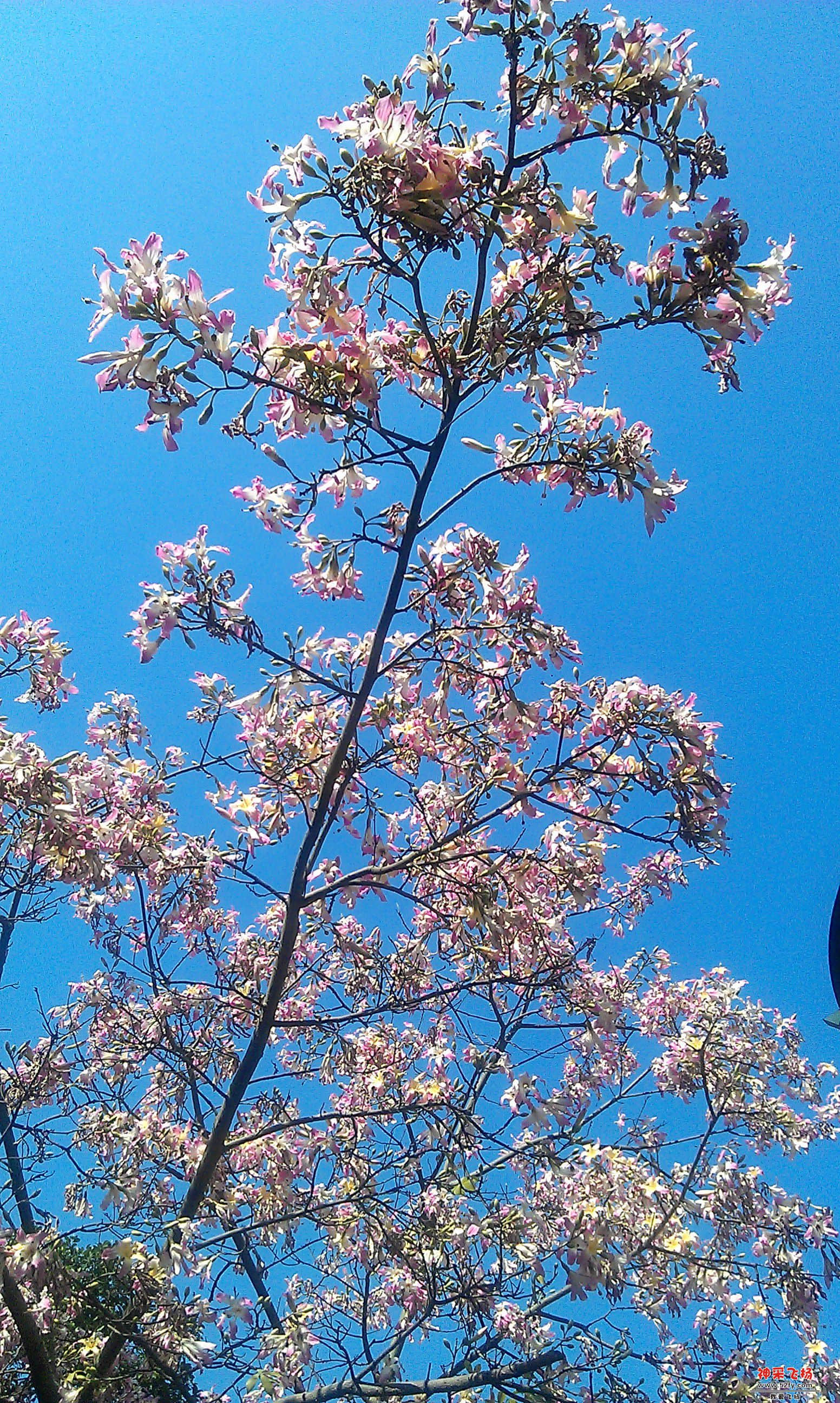 IMAG0005.jpg