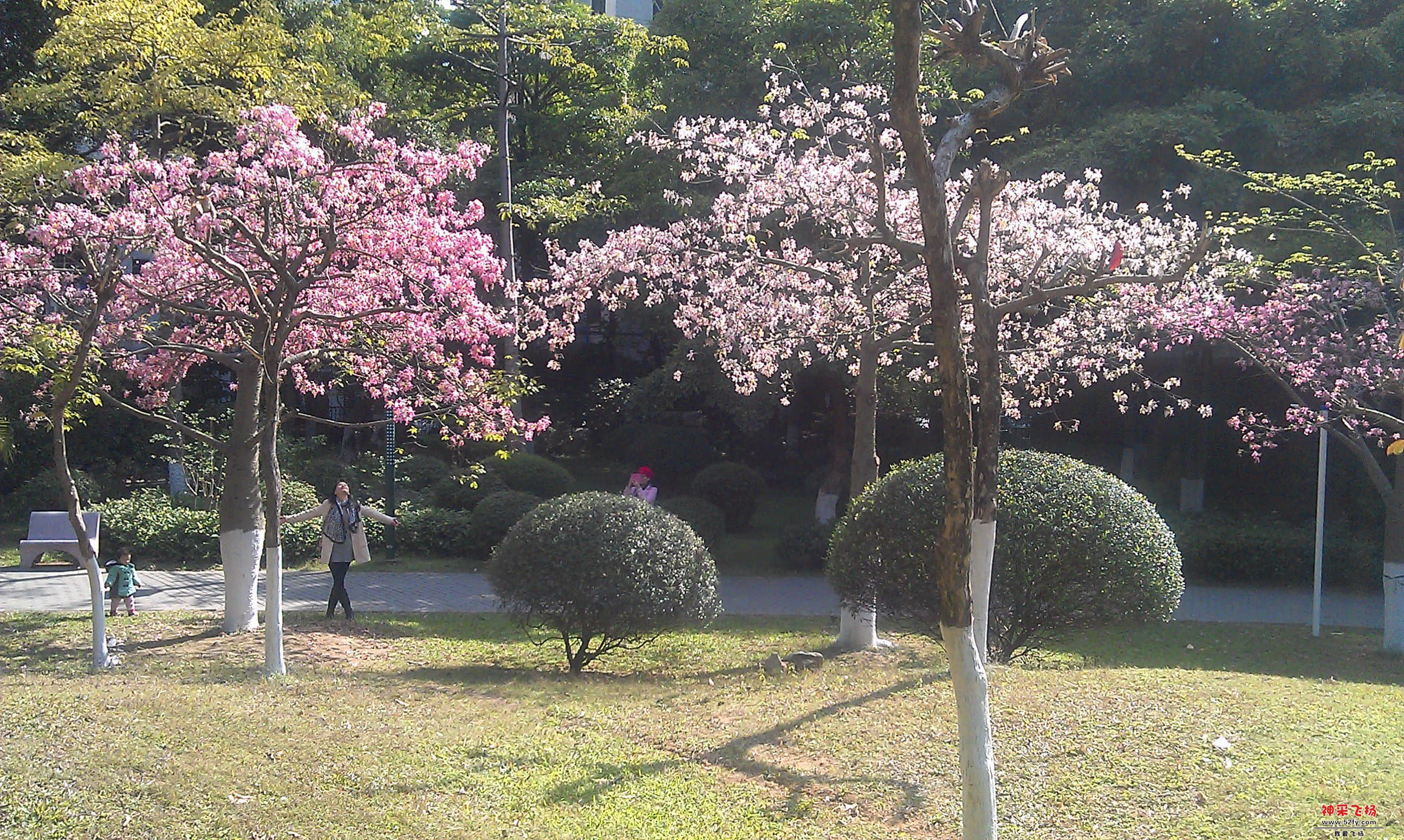 IMAG0015.jpg