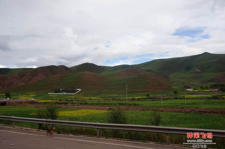 DSC02304_副本.jpg