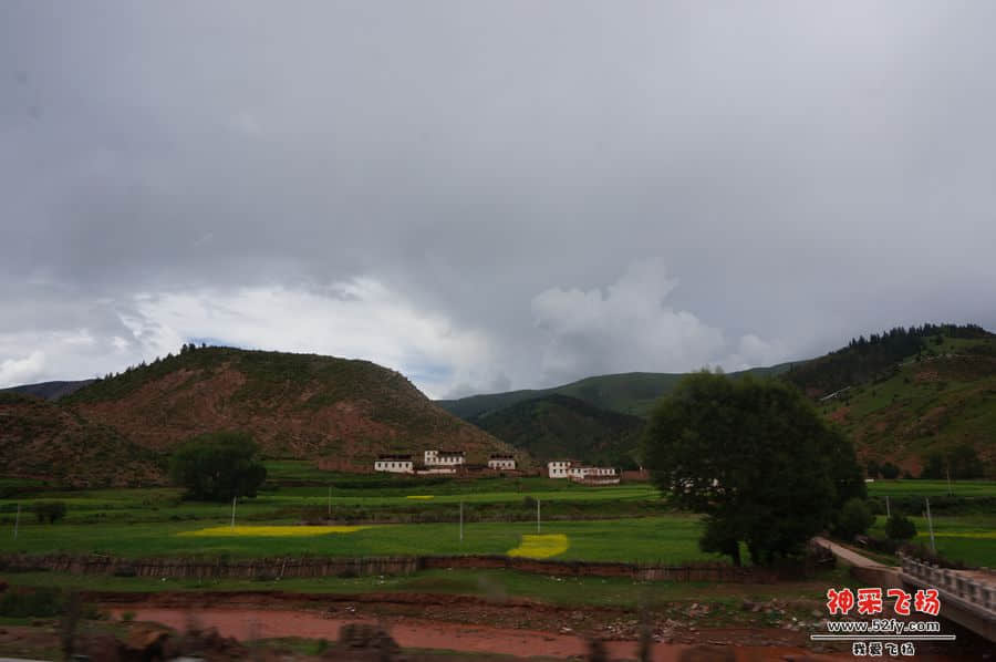 DSC02302_副本.jpg