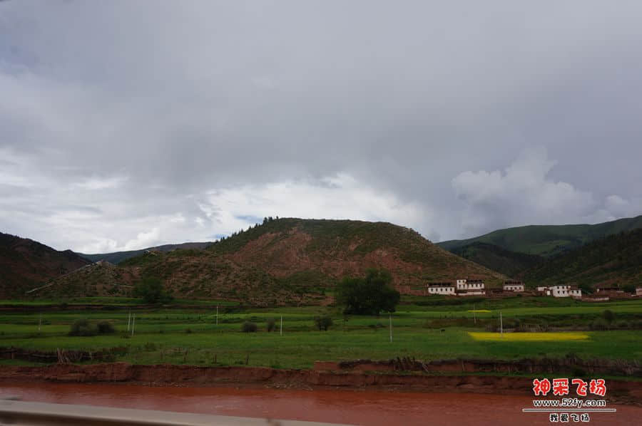 DSC02303_副本.jpg