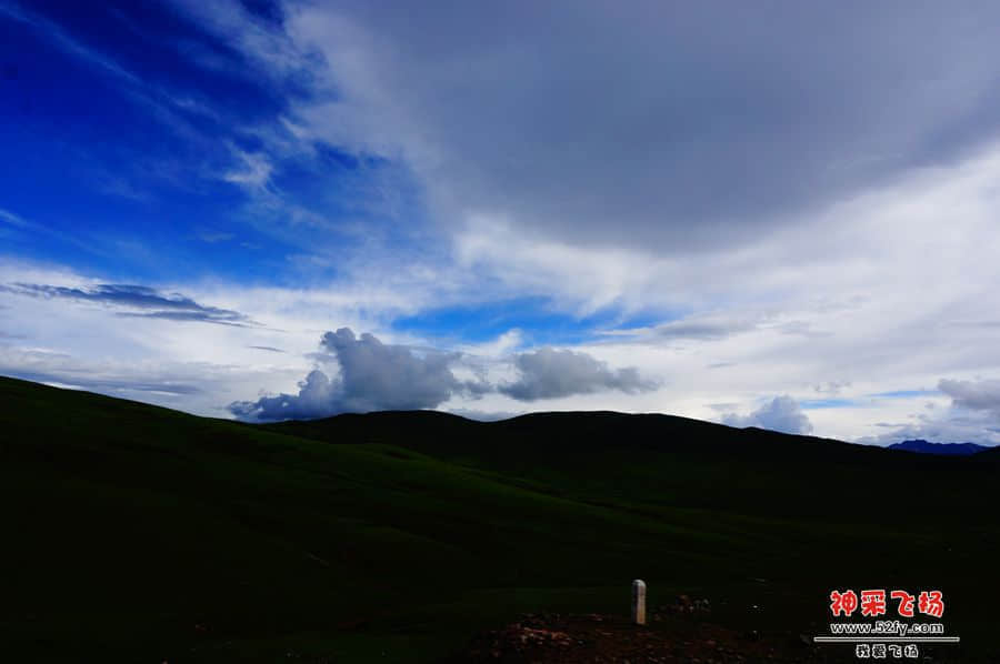 DSC02308_副本.jpg