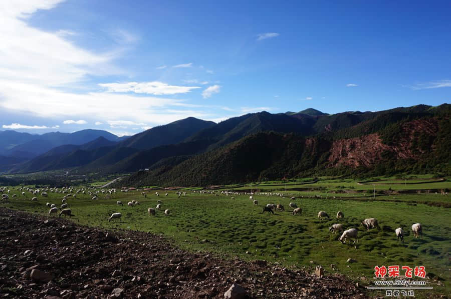 DSC02319_副本.jpg