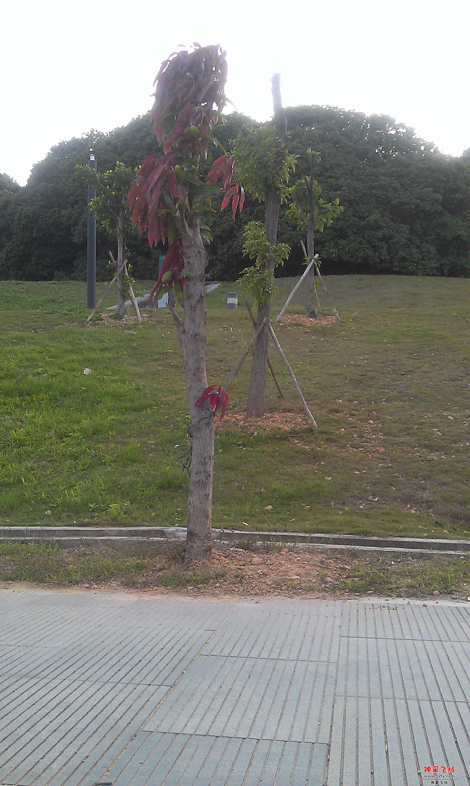 IMAG0022.jpg