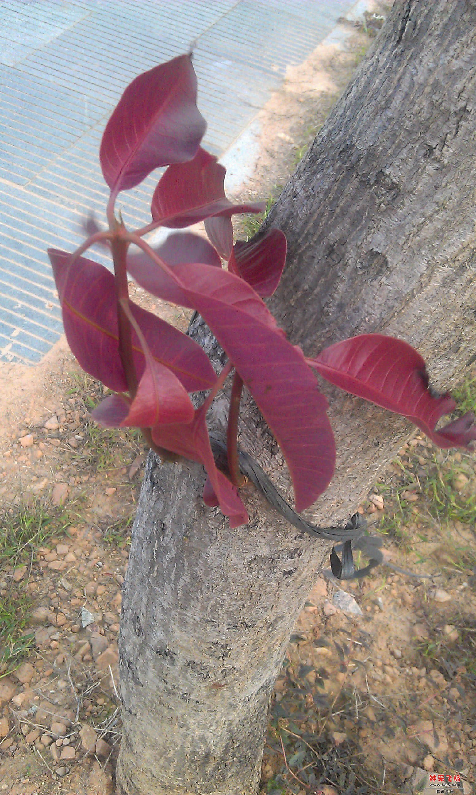 IMAG0023.jpg
