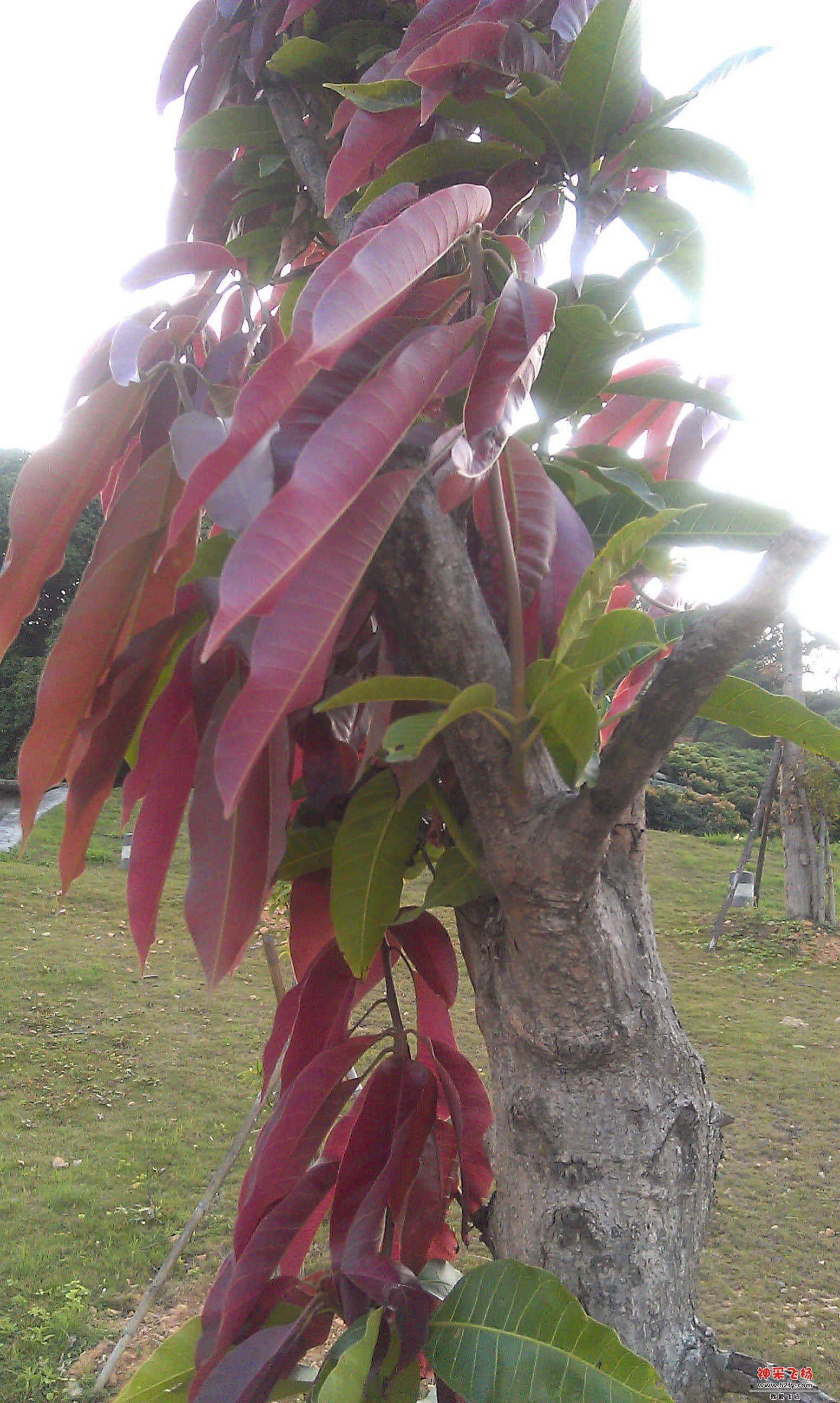 IMAG0024.jpg