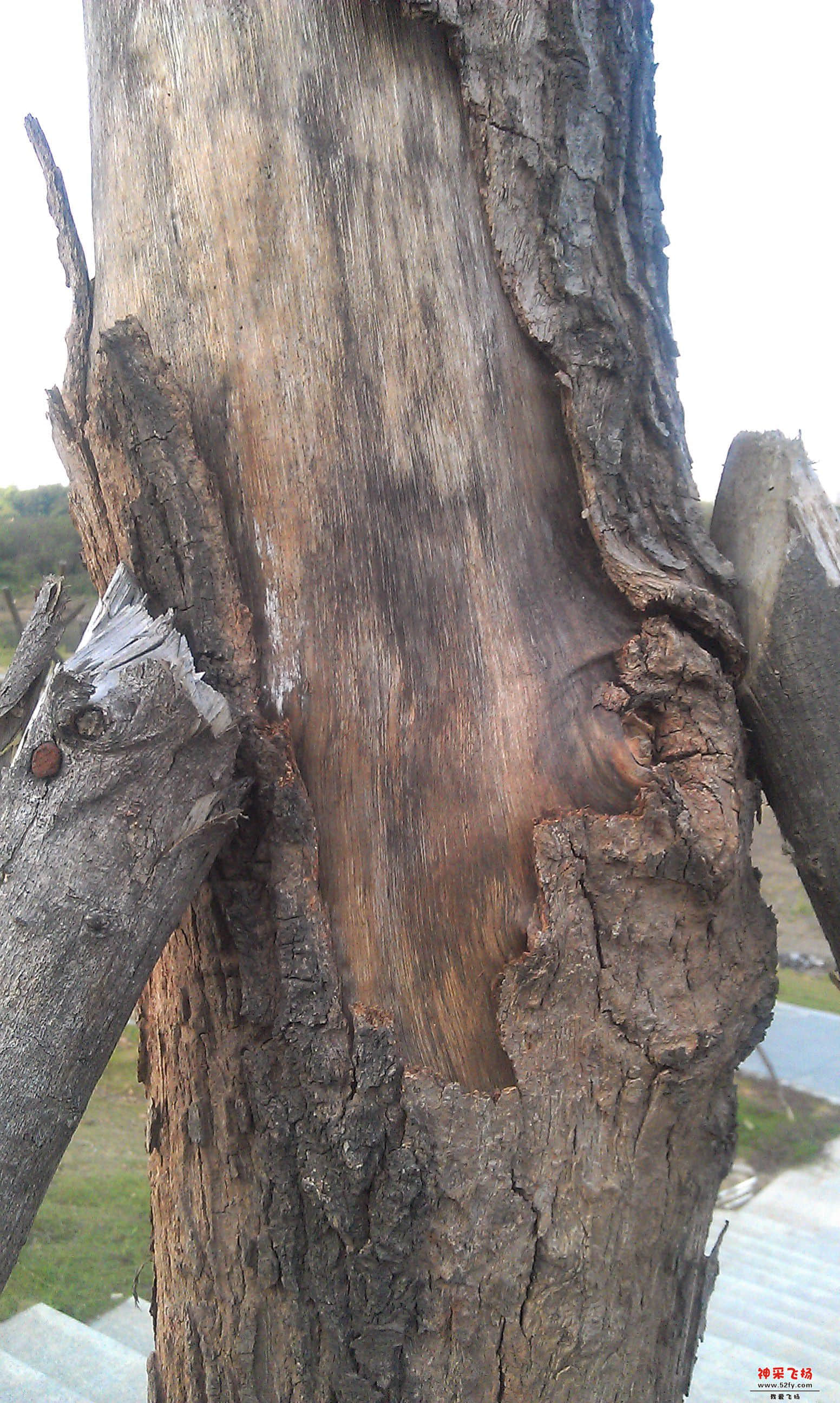IMAG0030.jpg