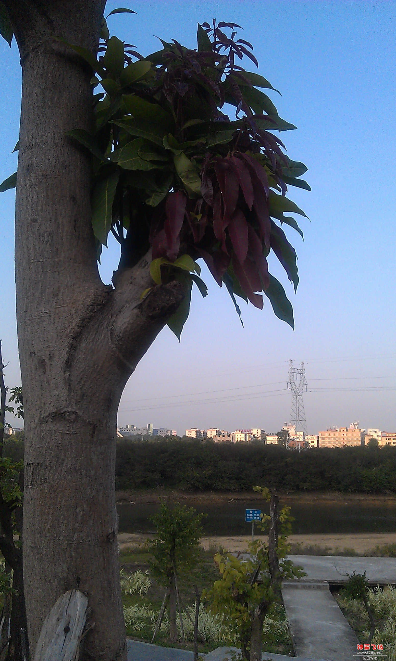 IMAG0032.jpg