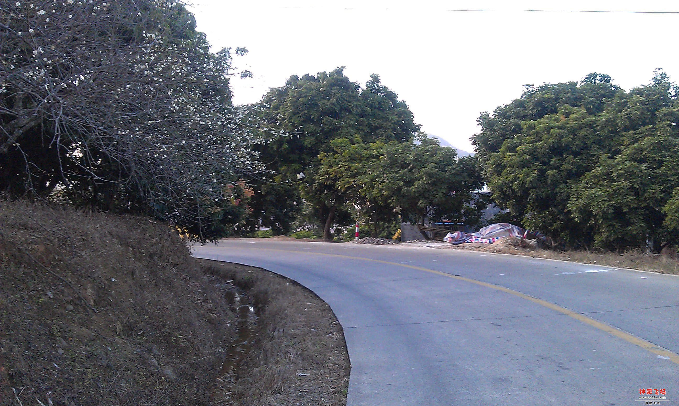 IMAG0010.jpg