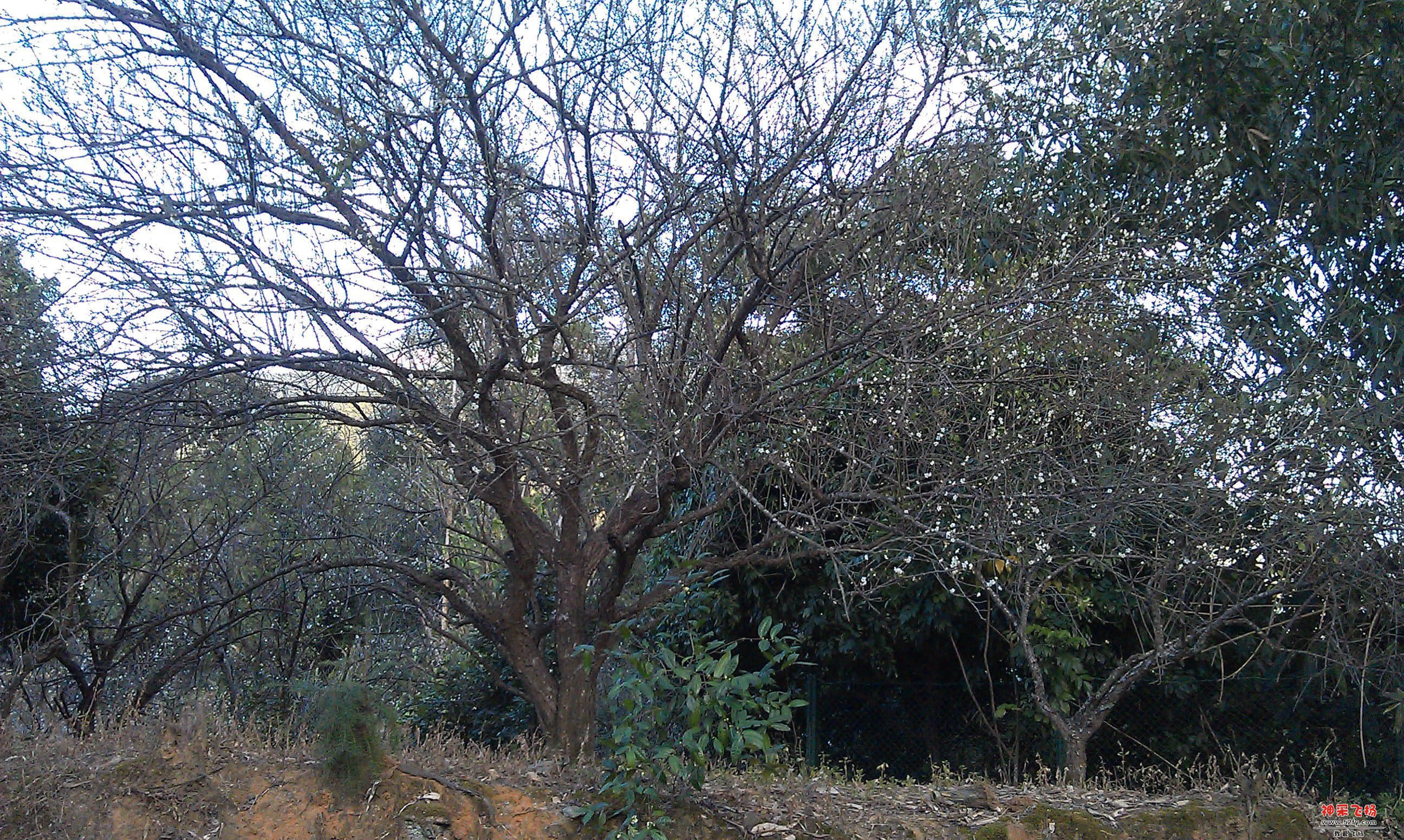IMAG0011.jpg