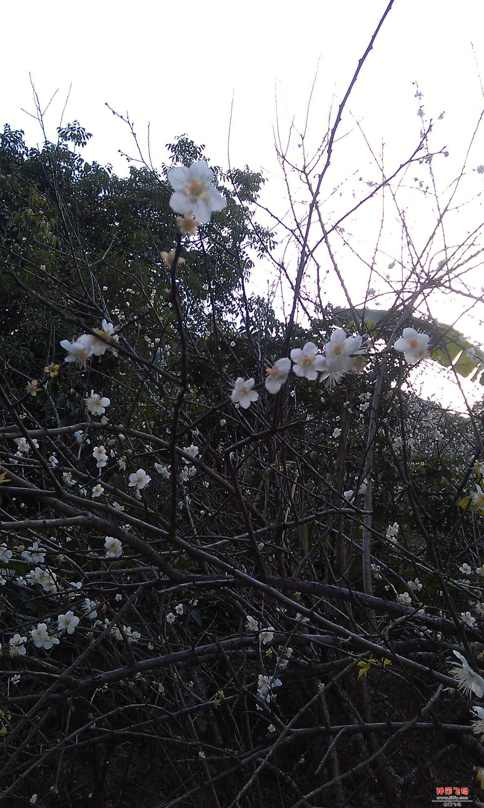 IMAG0013.jpg
