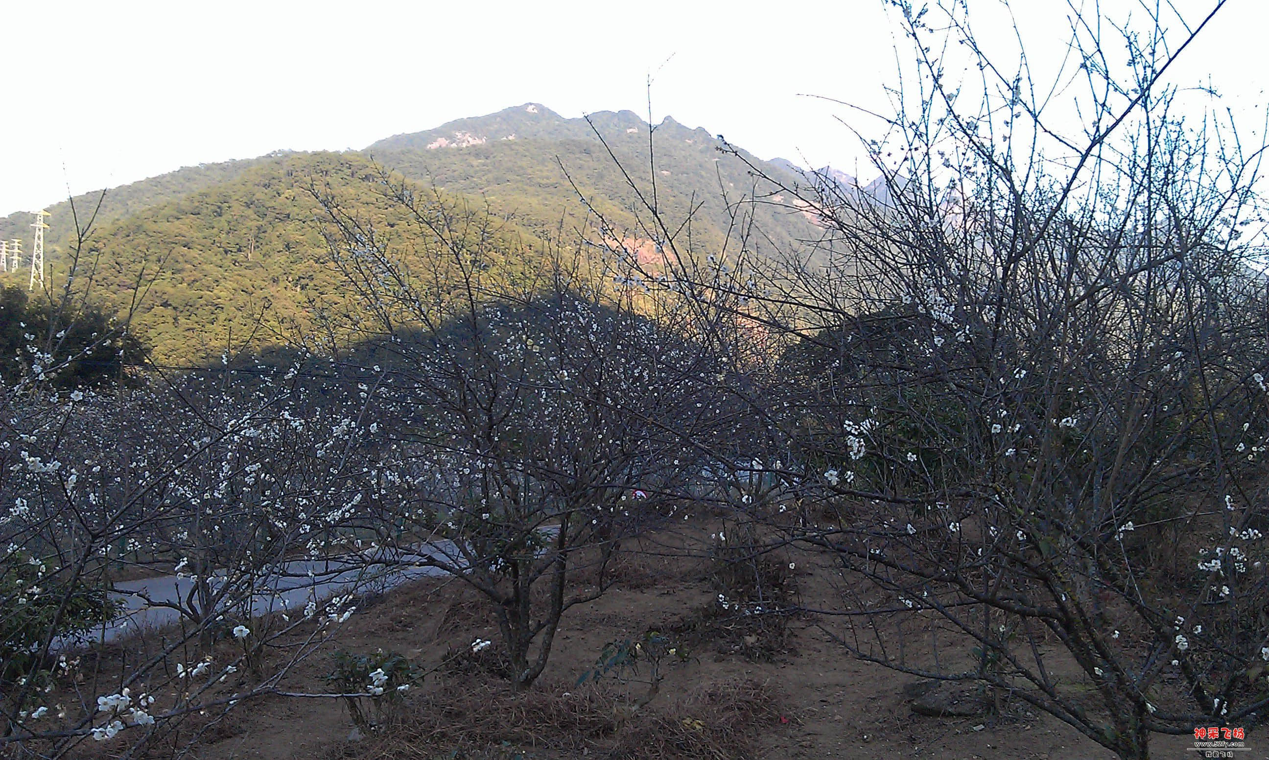 IMAG0019.jpg