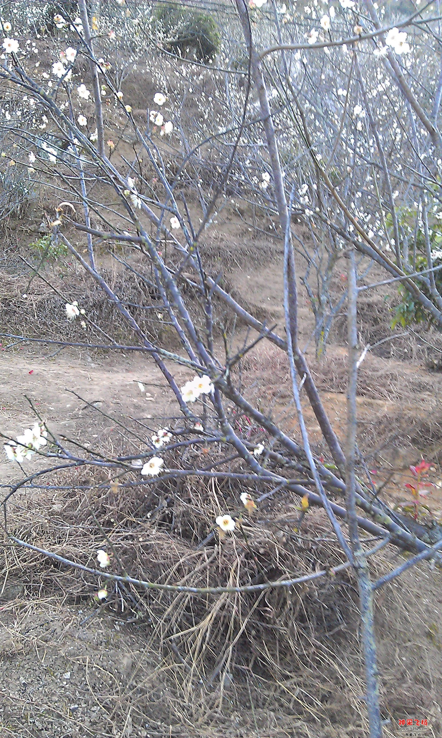 IMAG0021.jpg