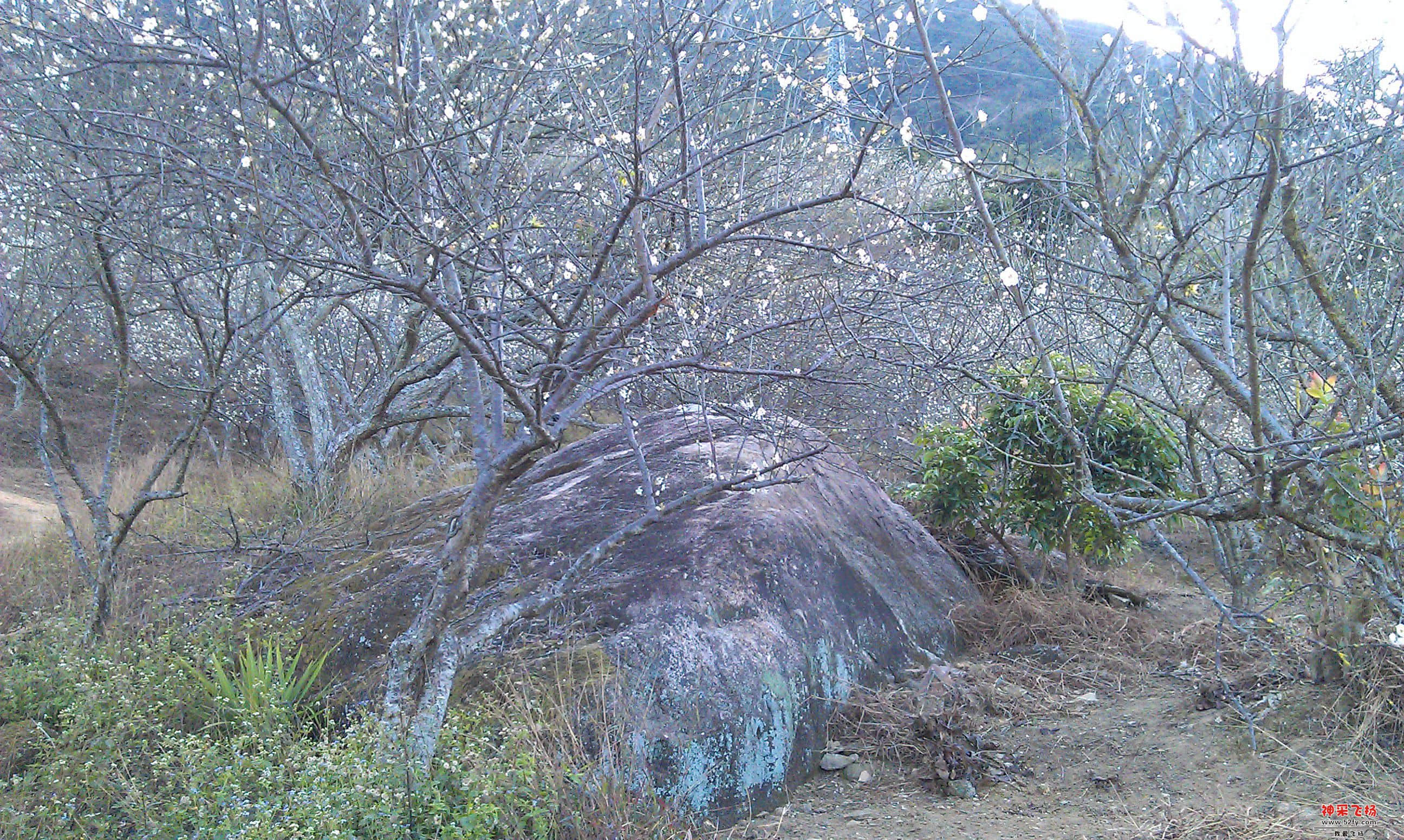 IMAG0024.jpg