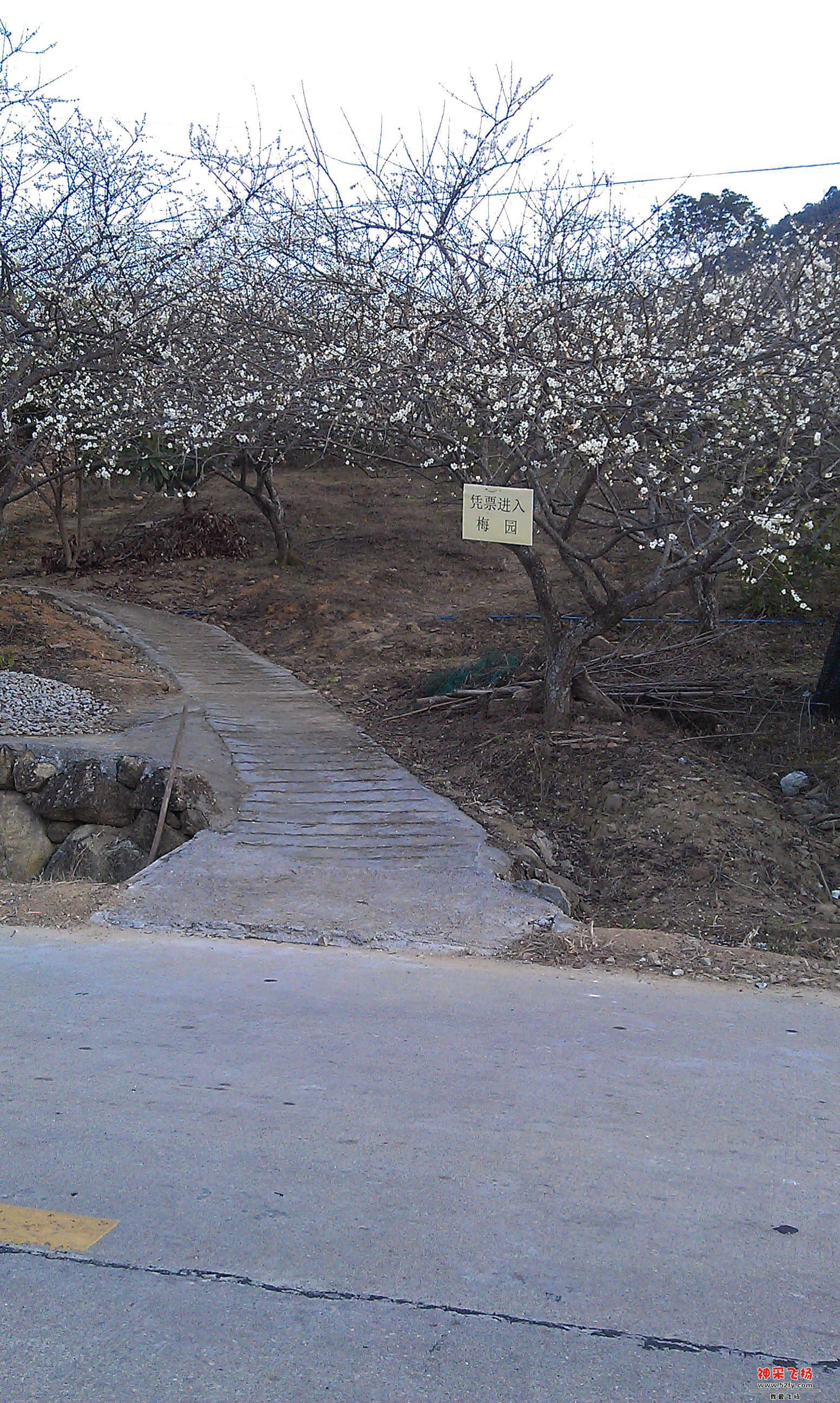 IMAG0030.jpg