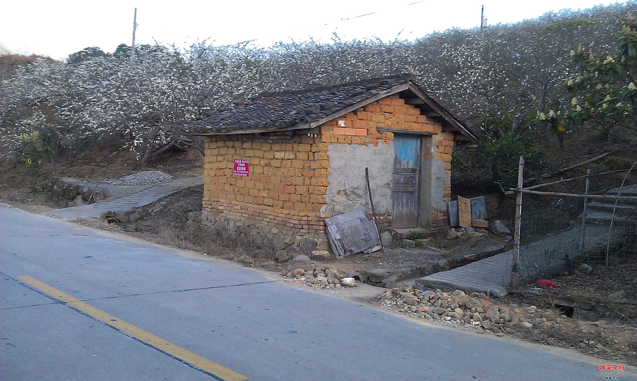 IMAG0032.jpg