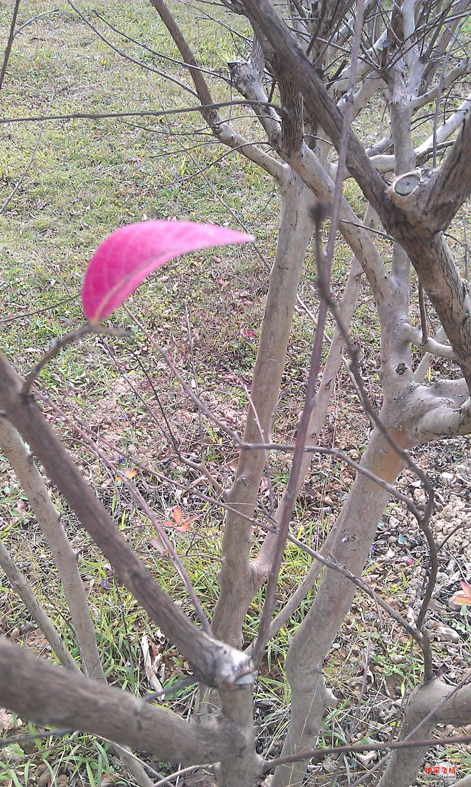 IMAG0068.jpg