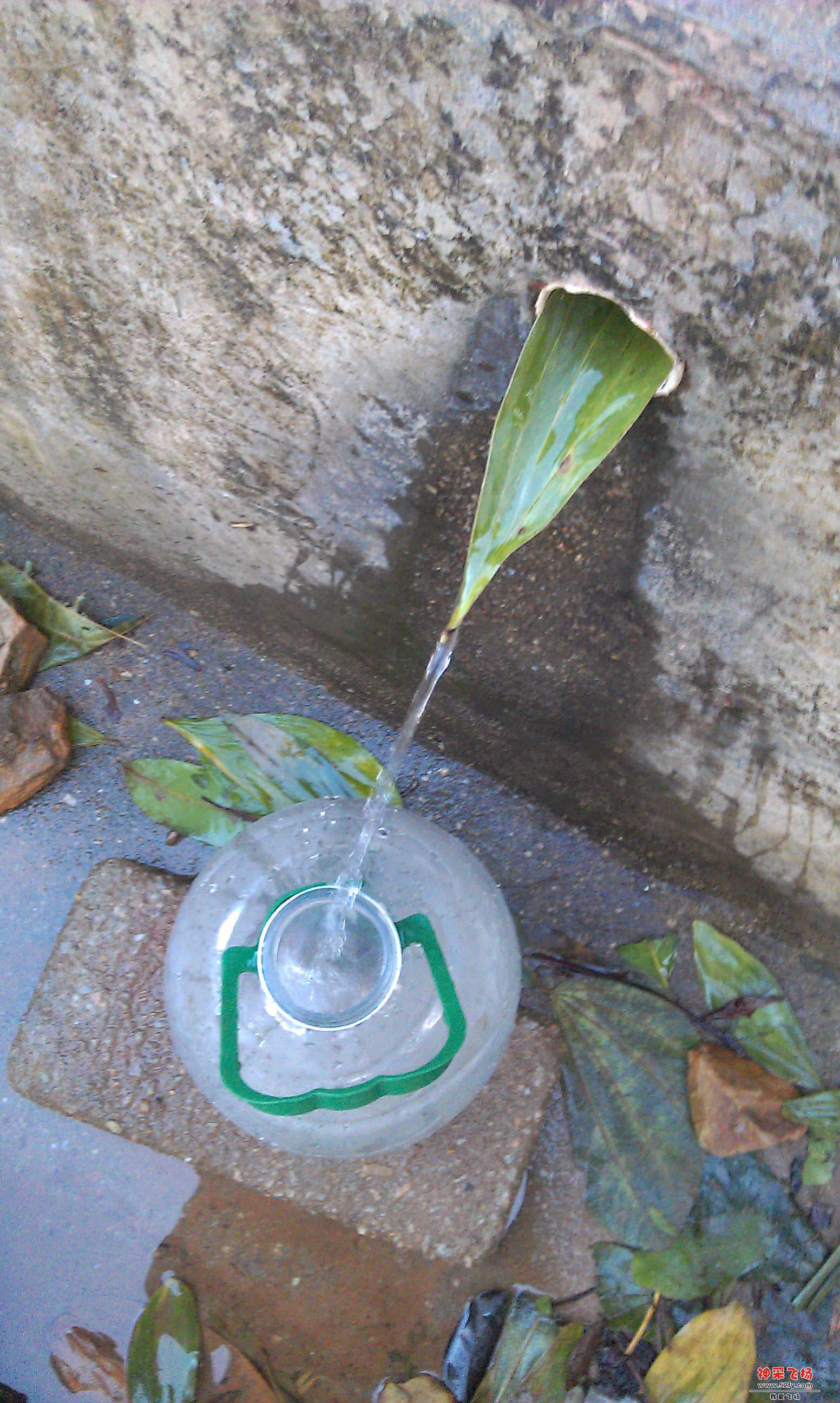 山泉水3.jpg