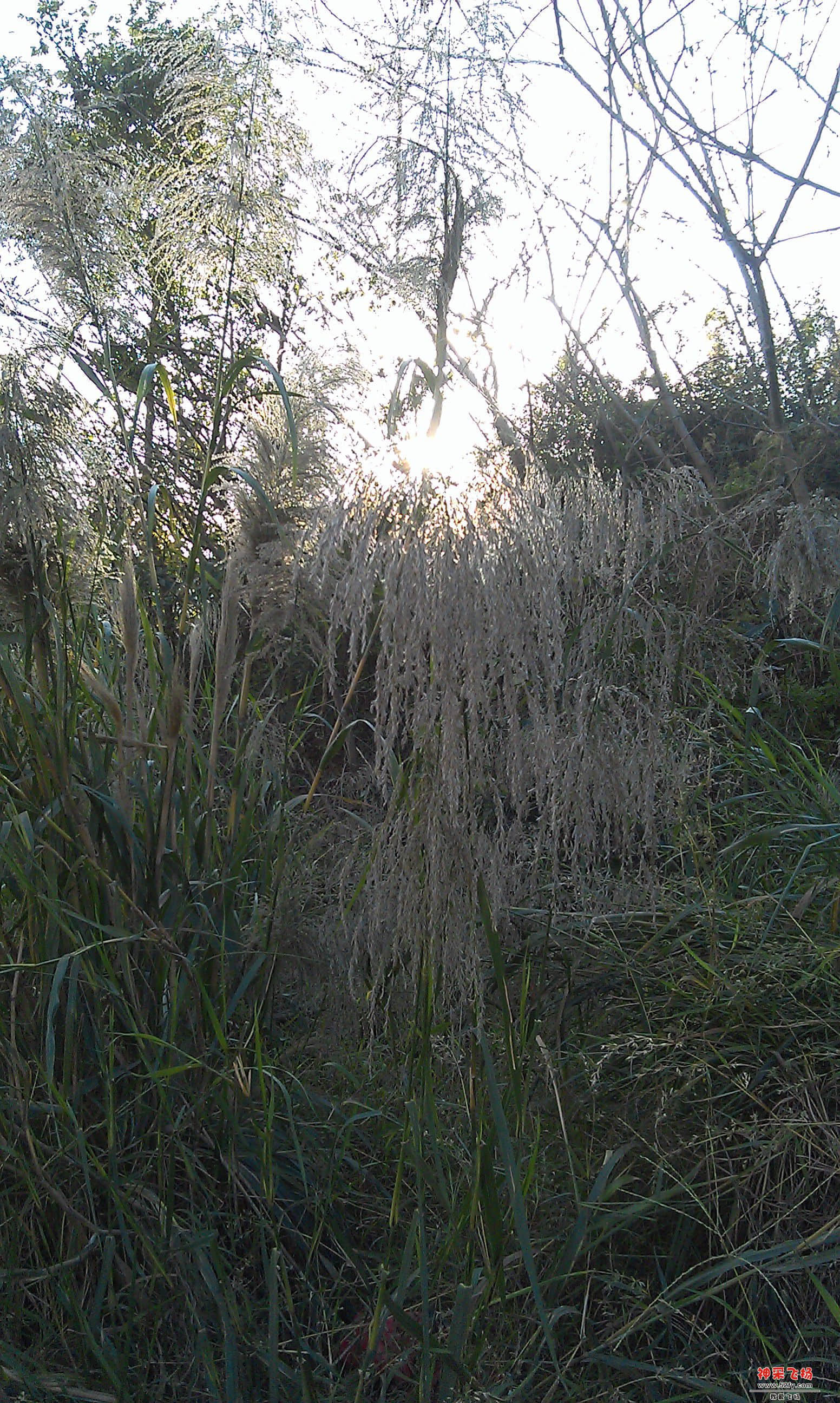 IMAG0077.jpg