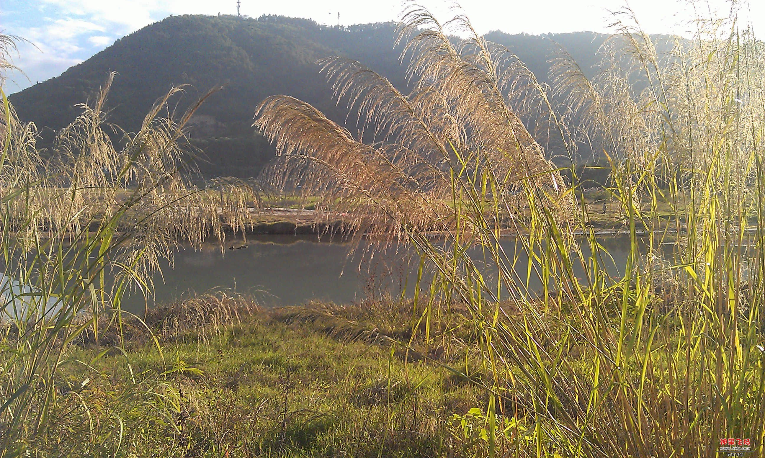 IMAG0079.jpg