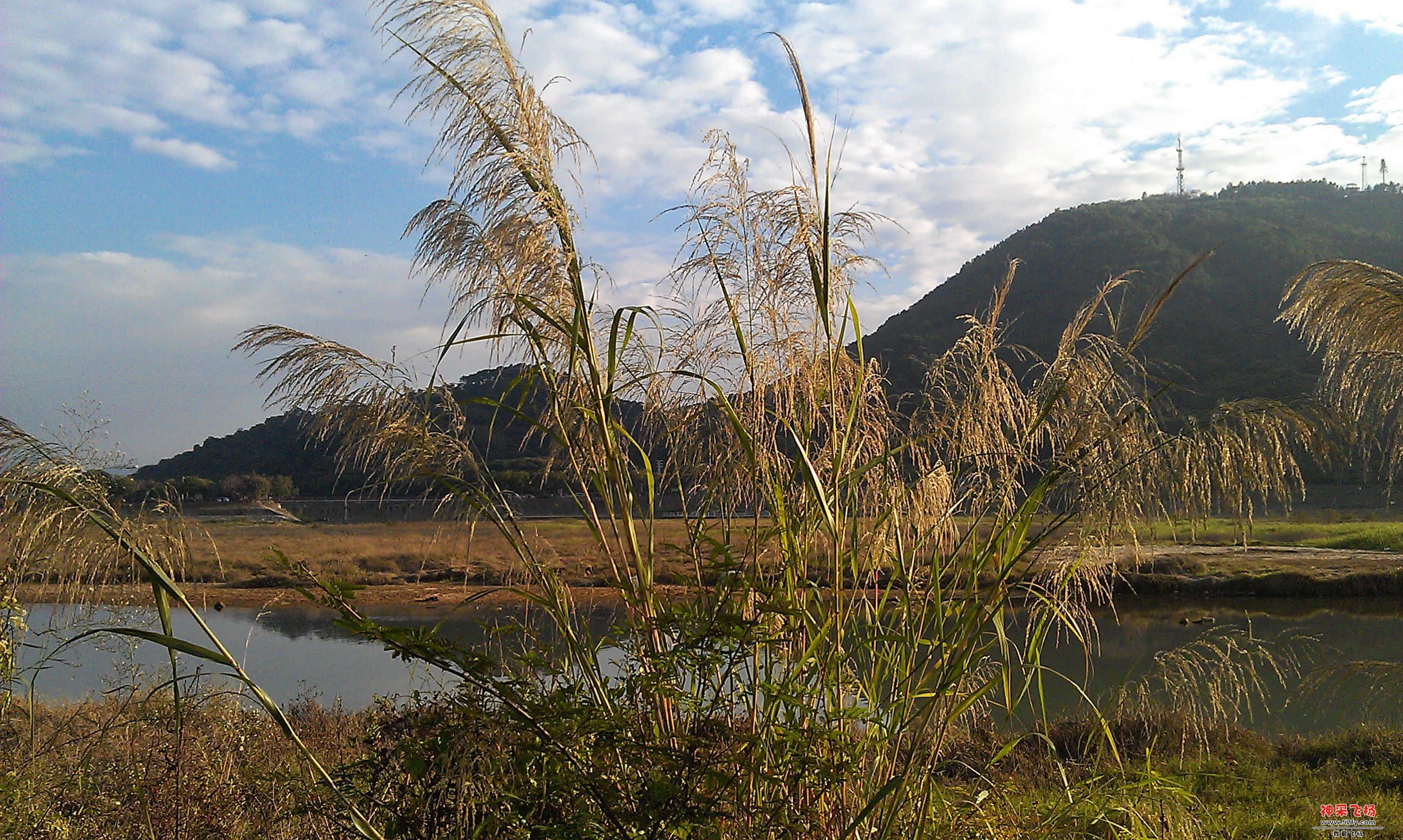 IMAG0080.jpg