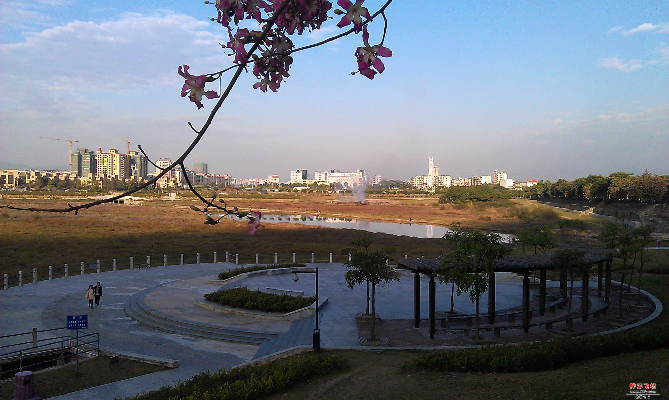 IMAG0082.jpg