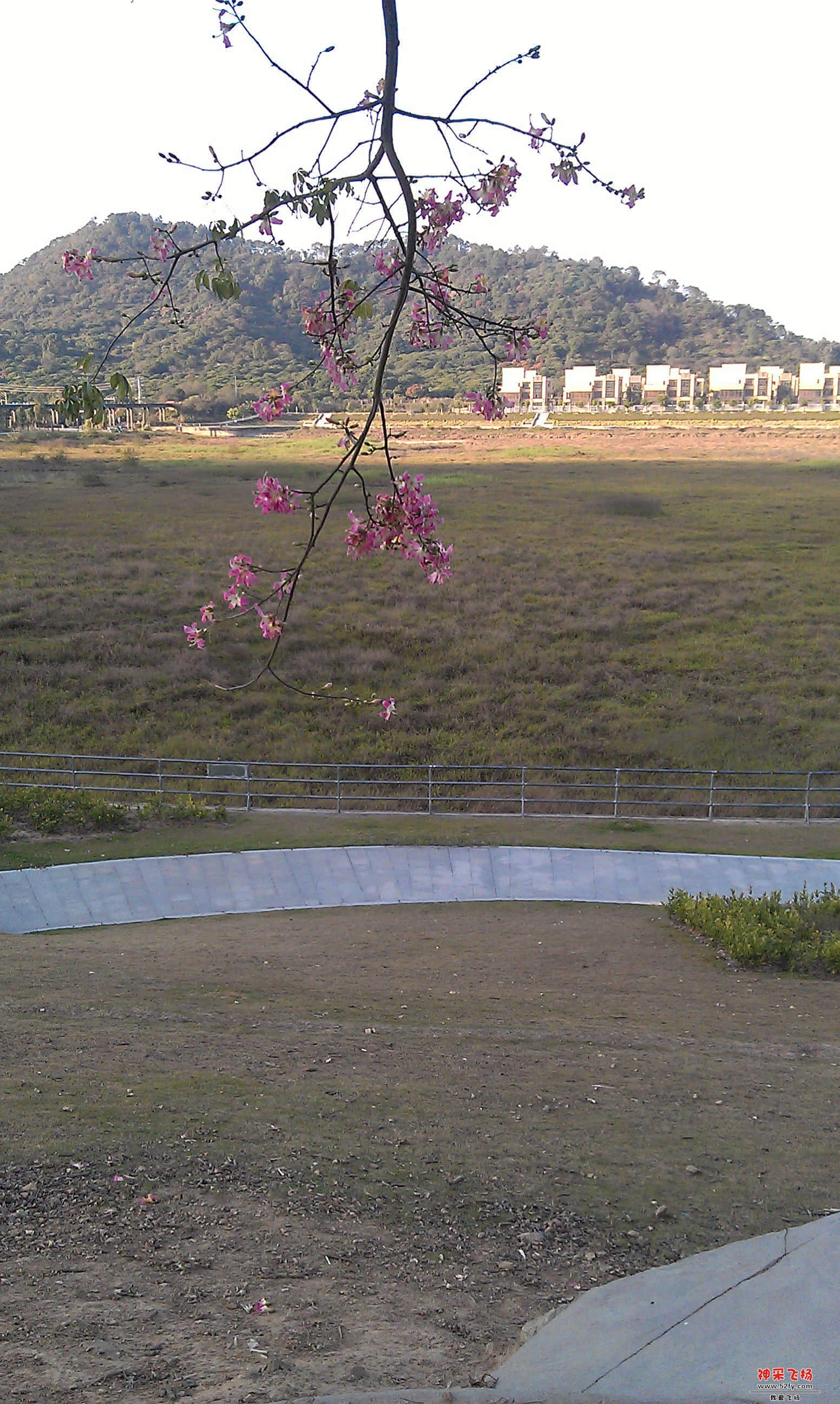 IMAG0086.jpg