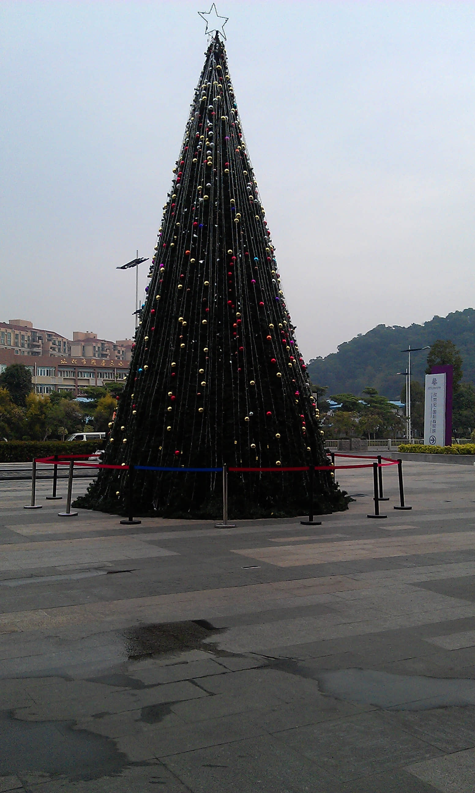 IMAG0002.jpg