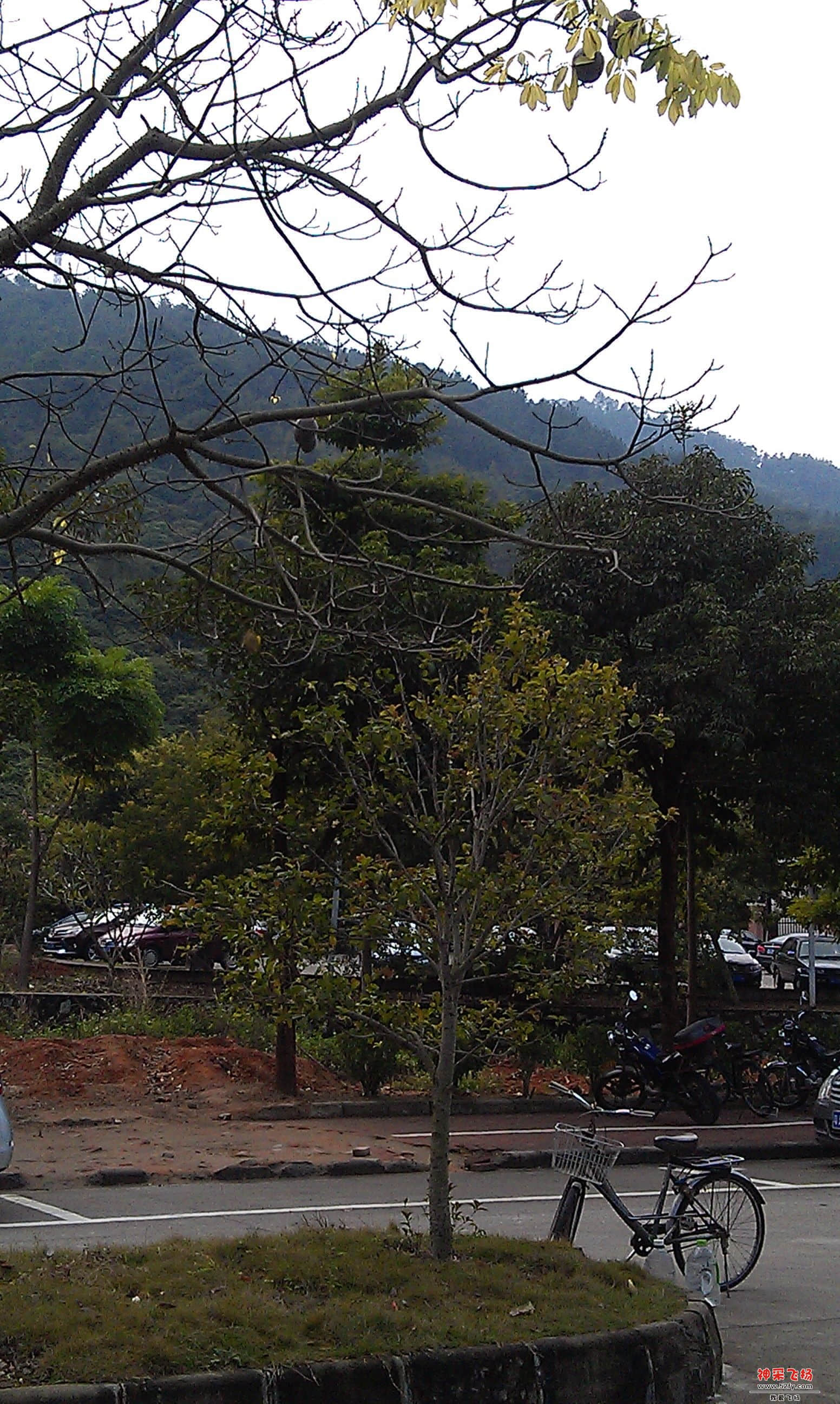 IMAG0014.jpg