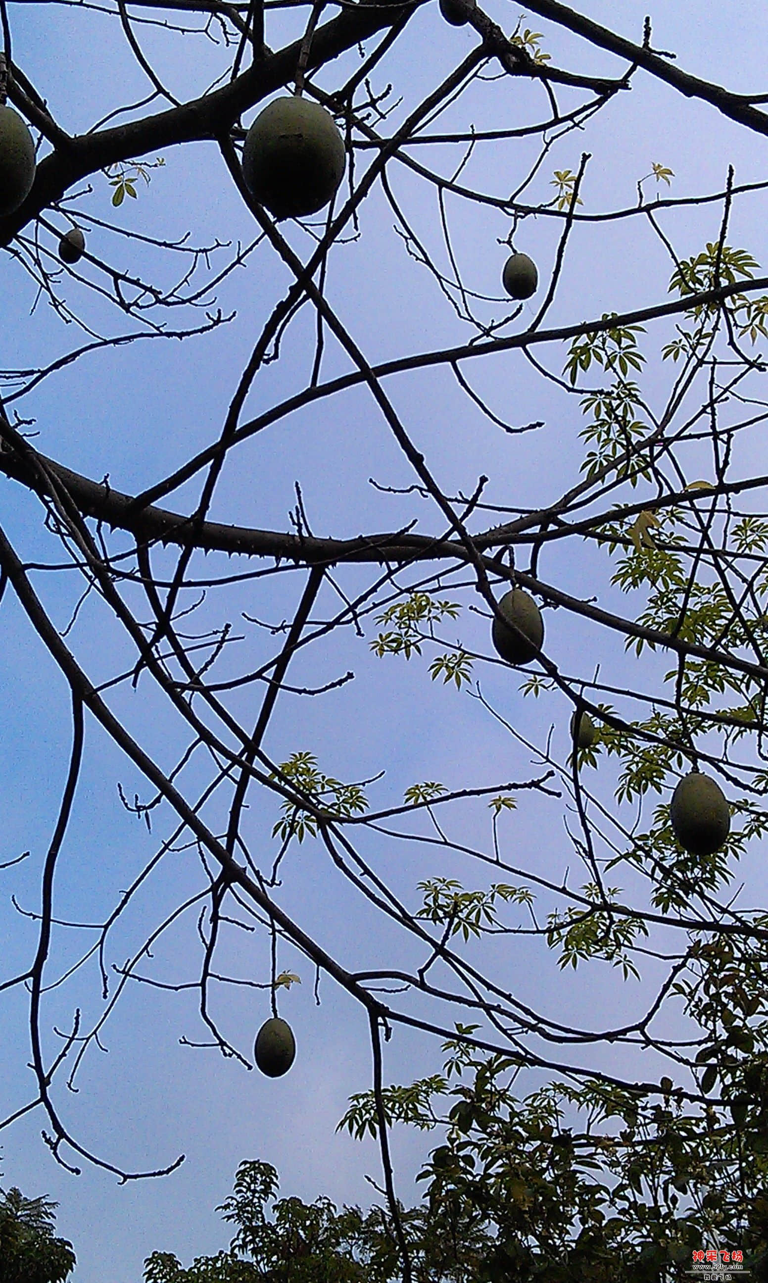IMAG0016.jpg