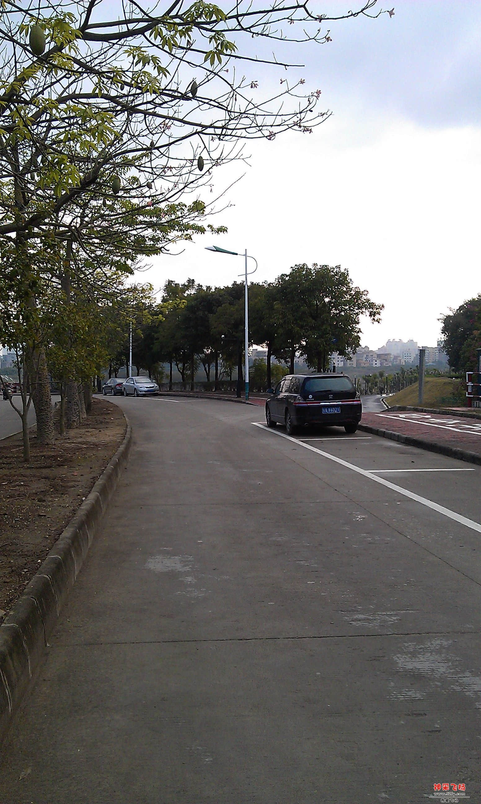 IMAG0018.jpg
