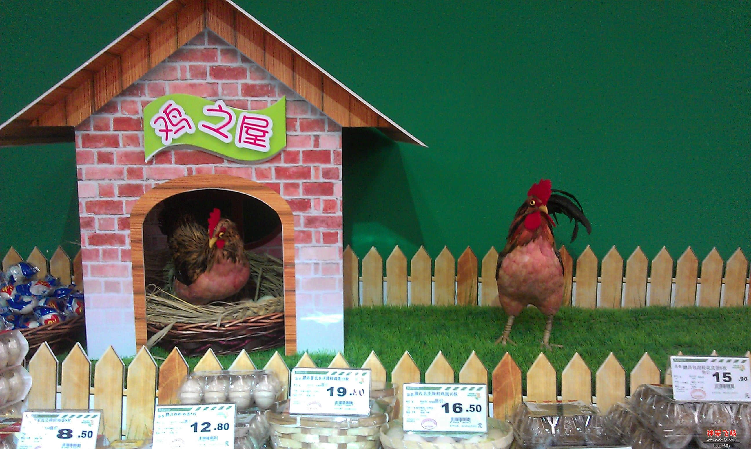 IMAG0054.jpg