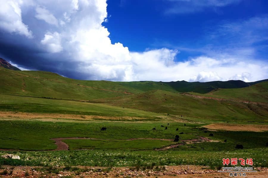 DSC02378_副本.jpg