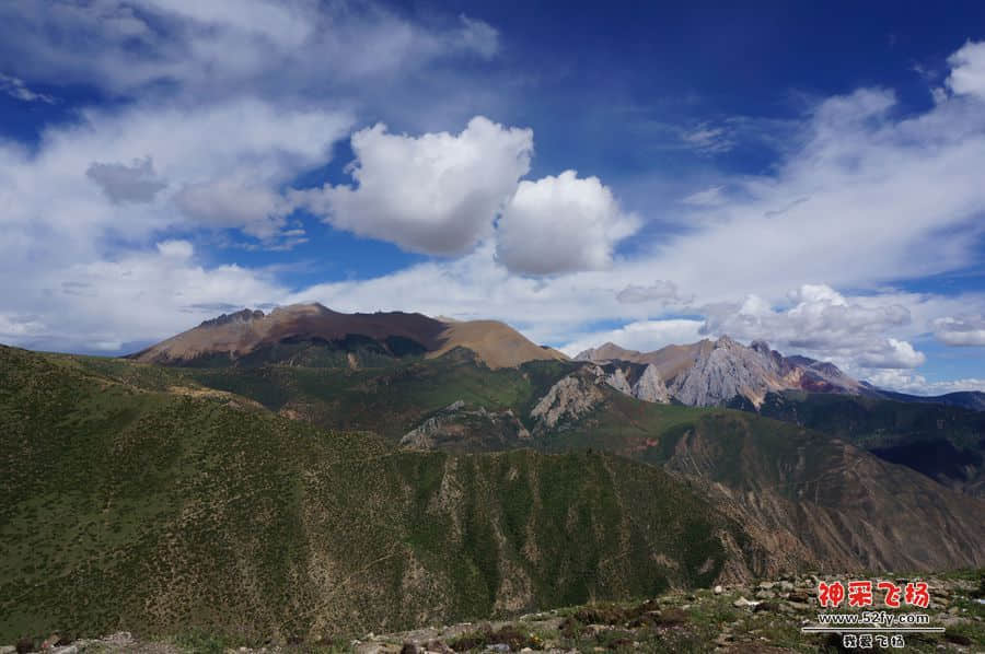 DSC02397_副本.jpg