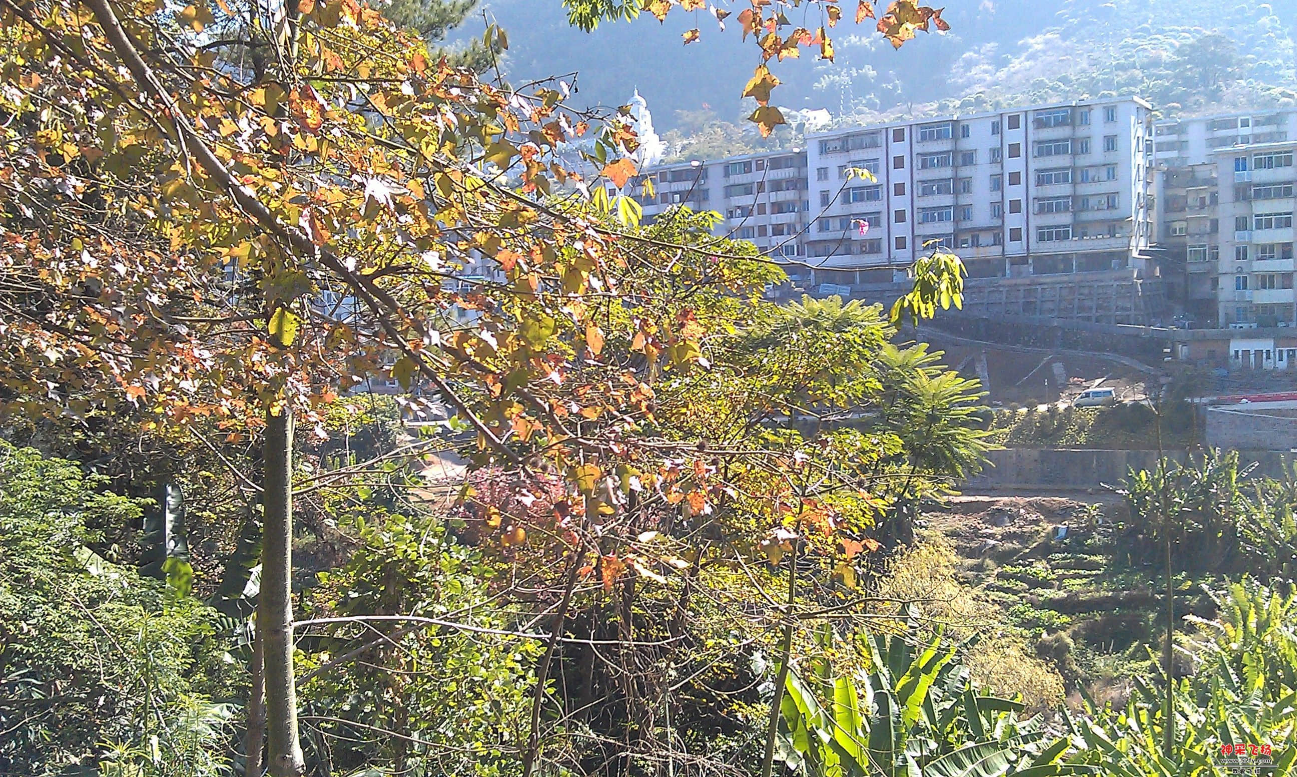 IMAG0003.jpg