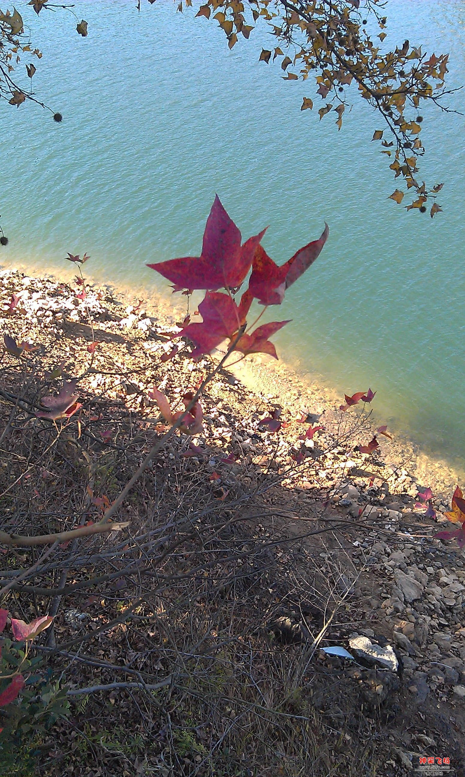 IMAG0013.jpg