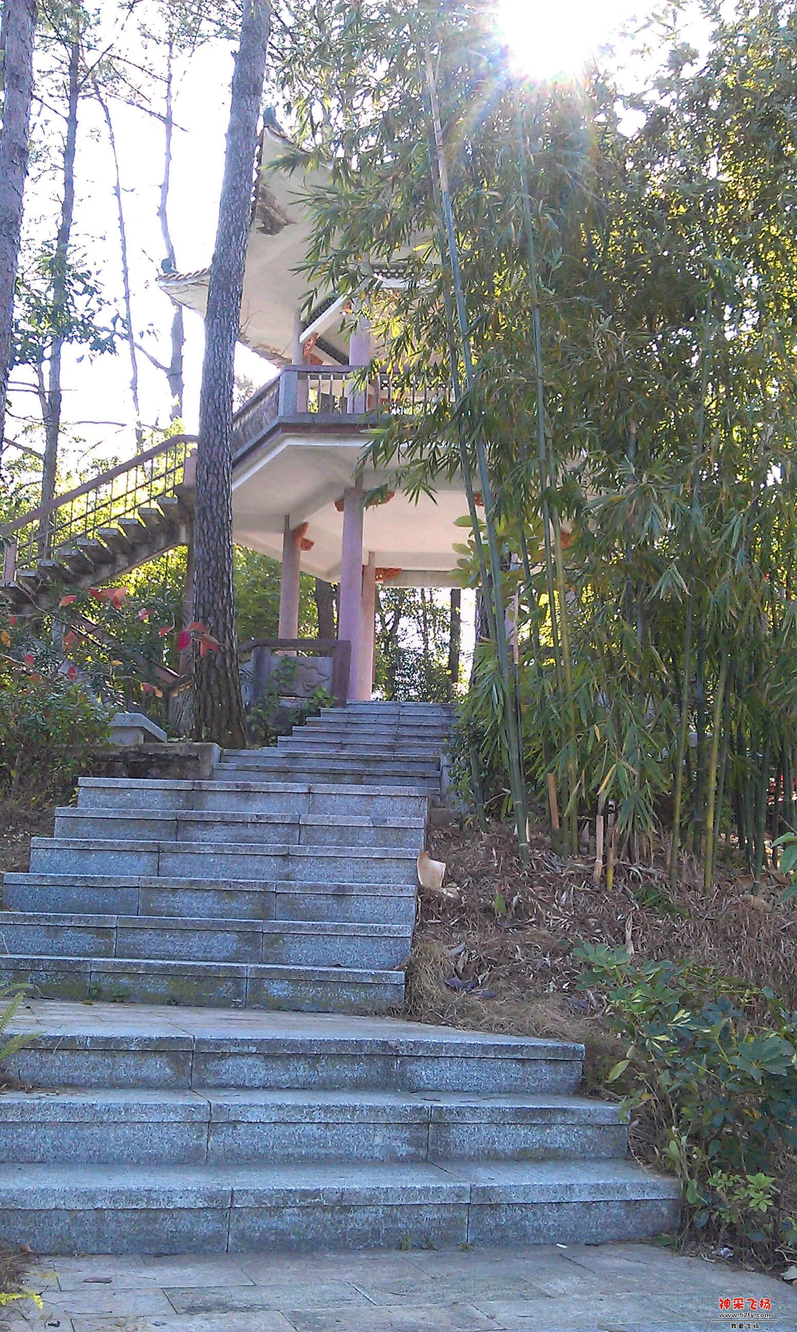 IMAG0014.jpg