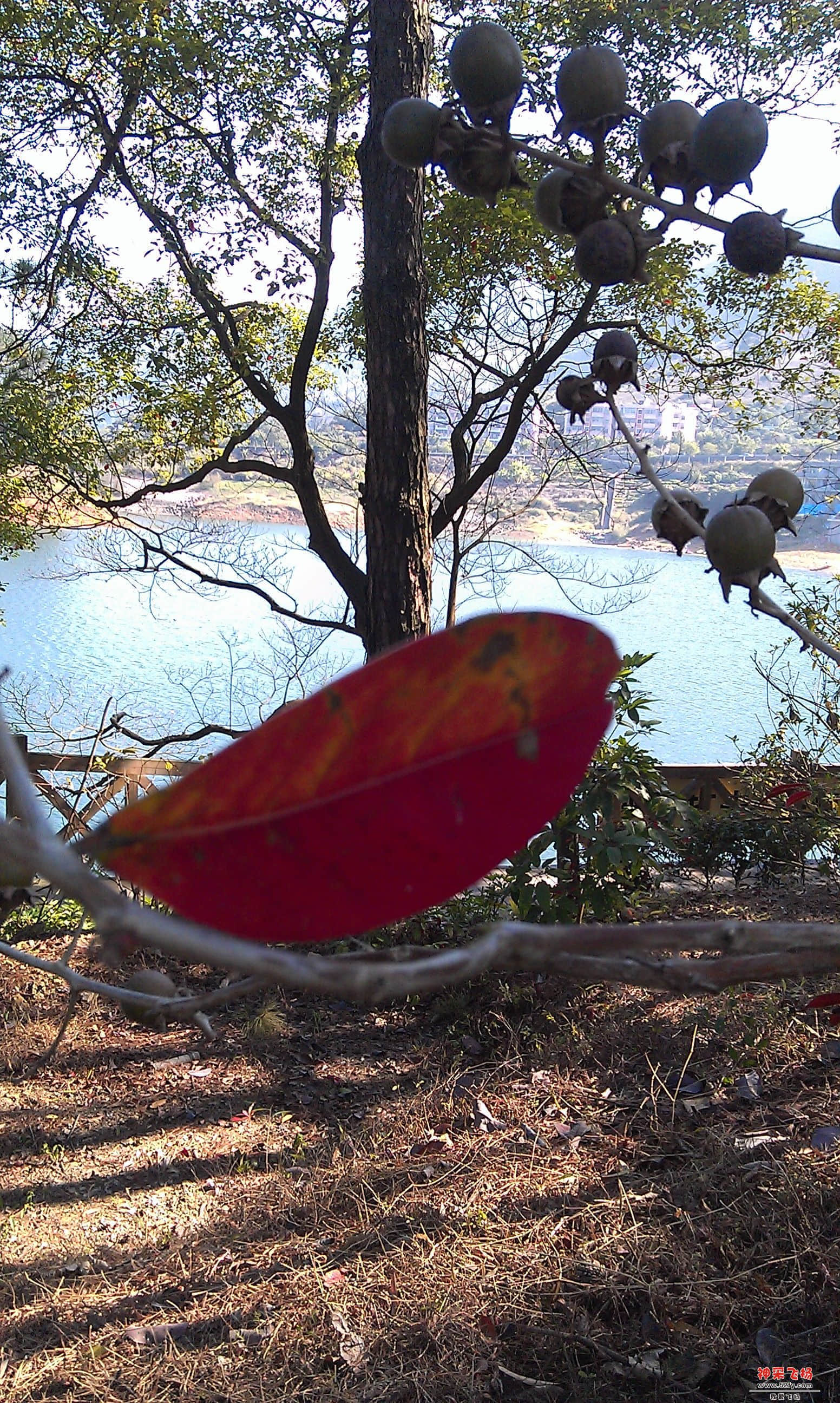 IMAG0015.jpg