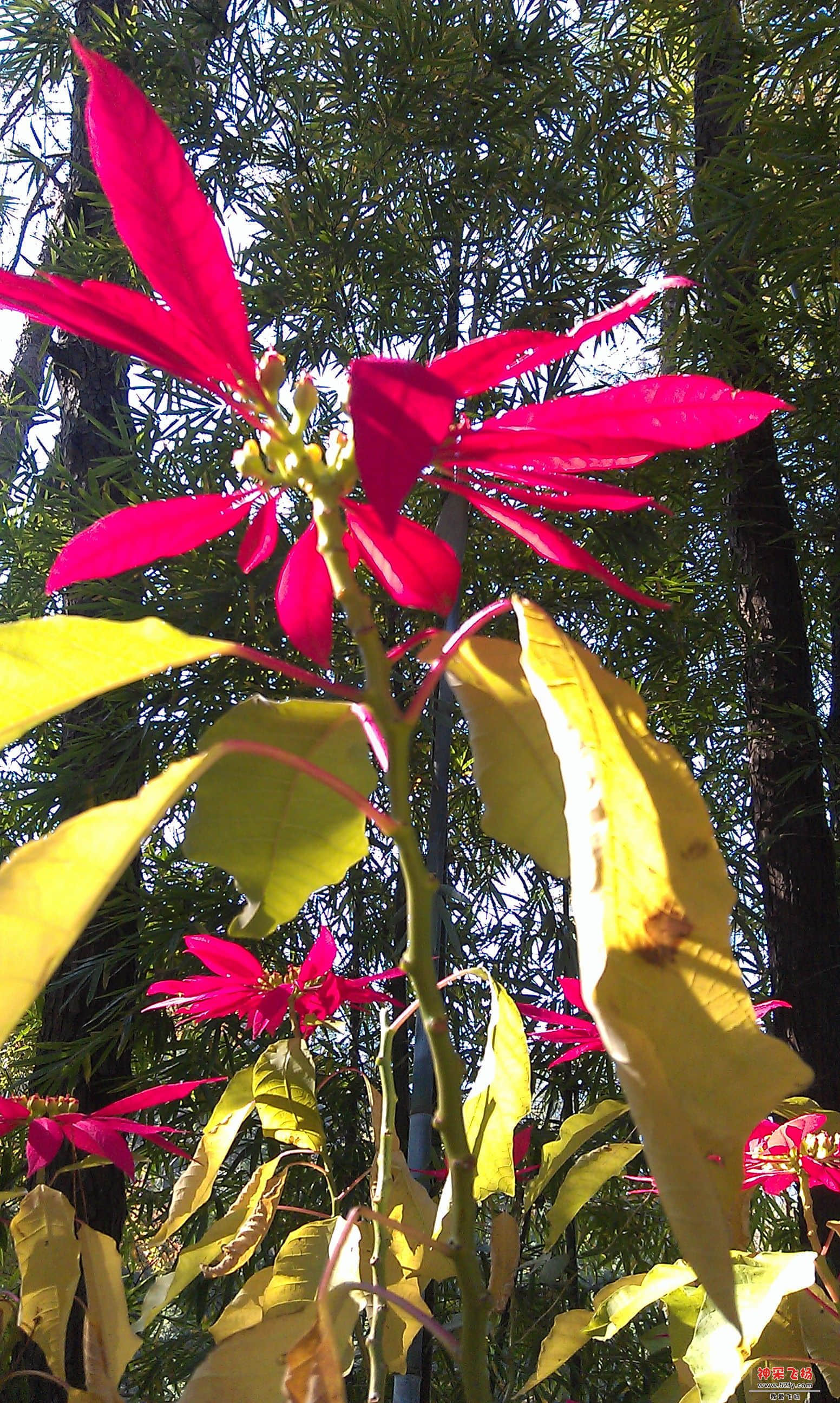 IMAG0018.jpg