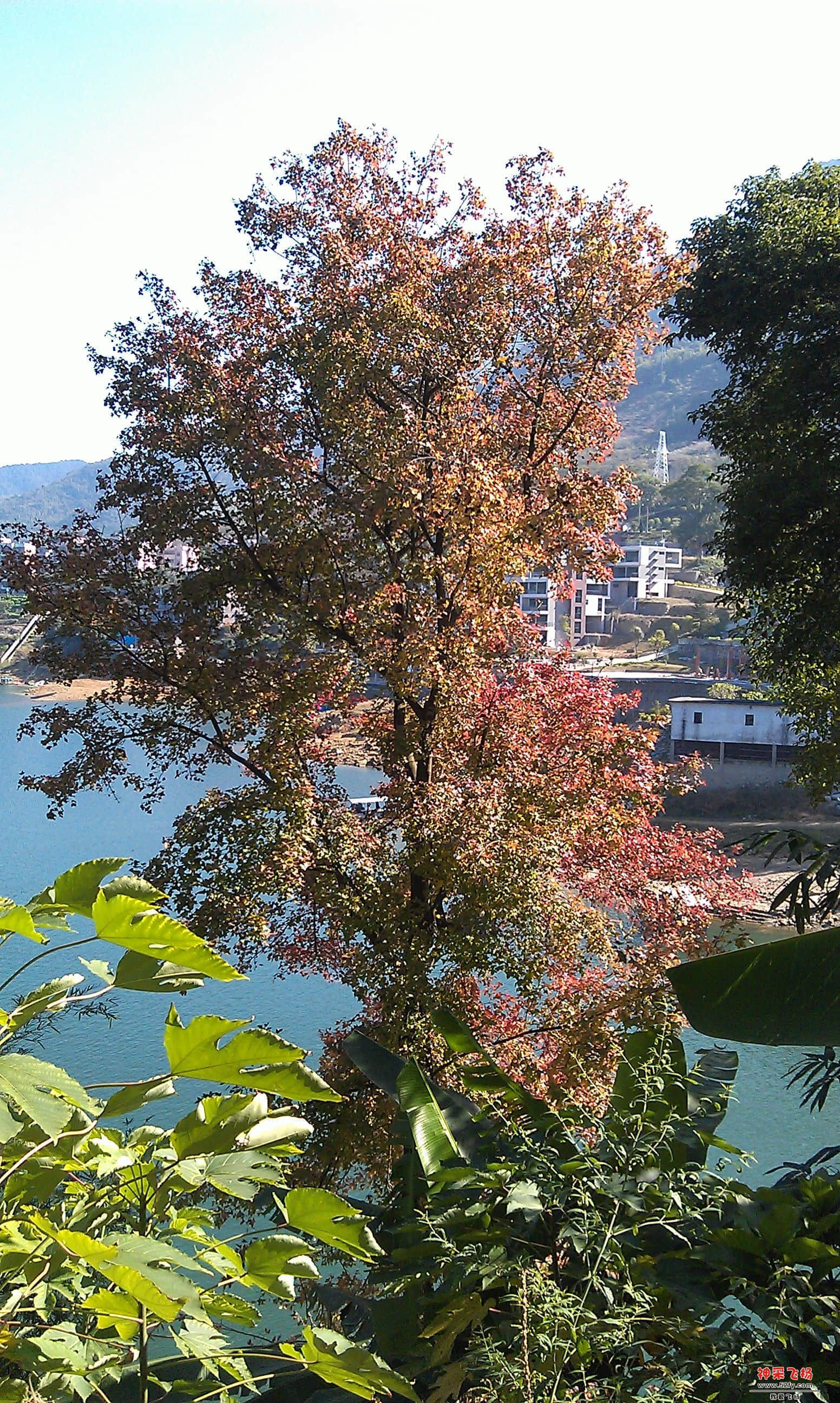 IMAG0019.jpg