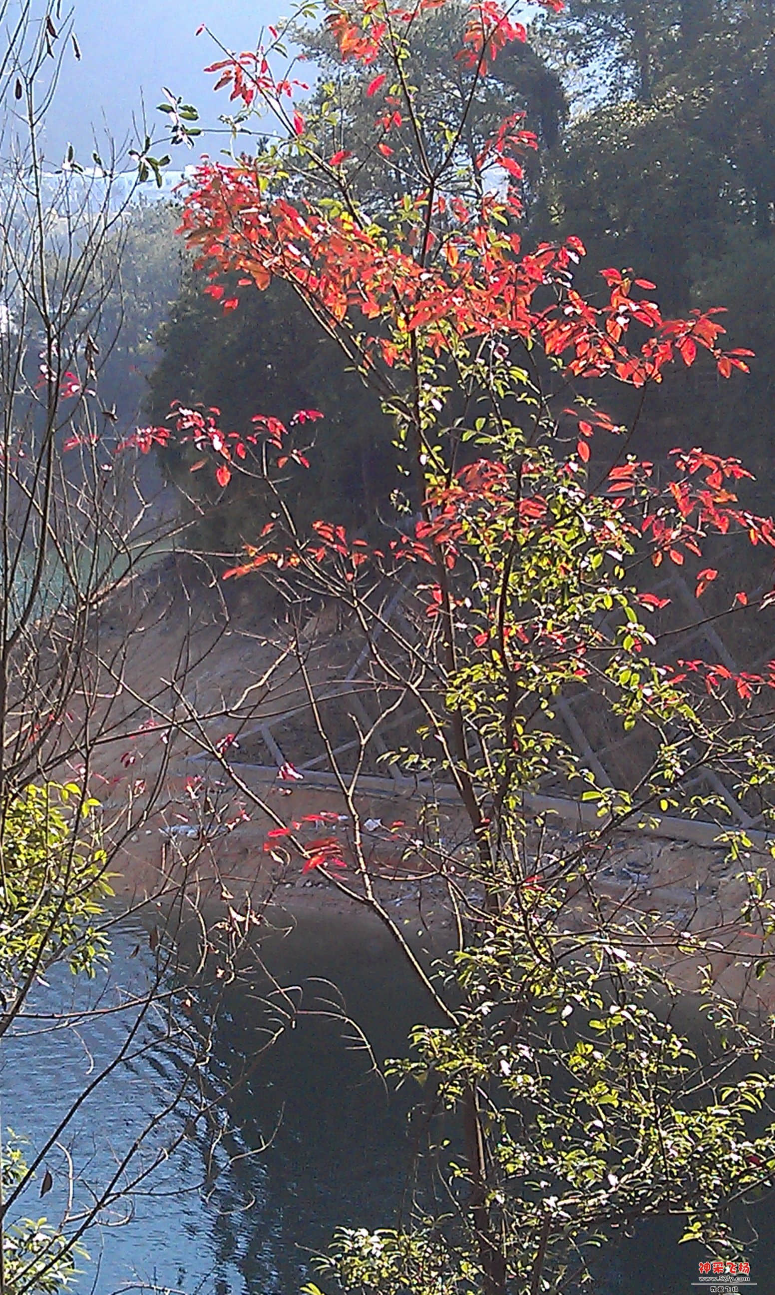 IMAG0028.jpg