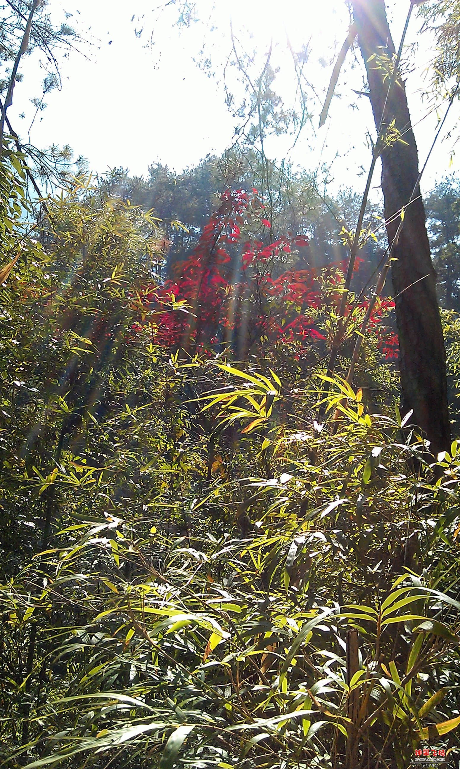 IMAG0029.jpg