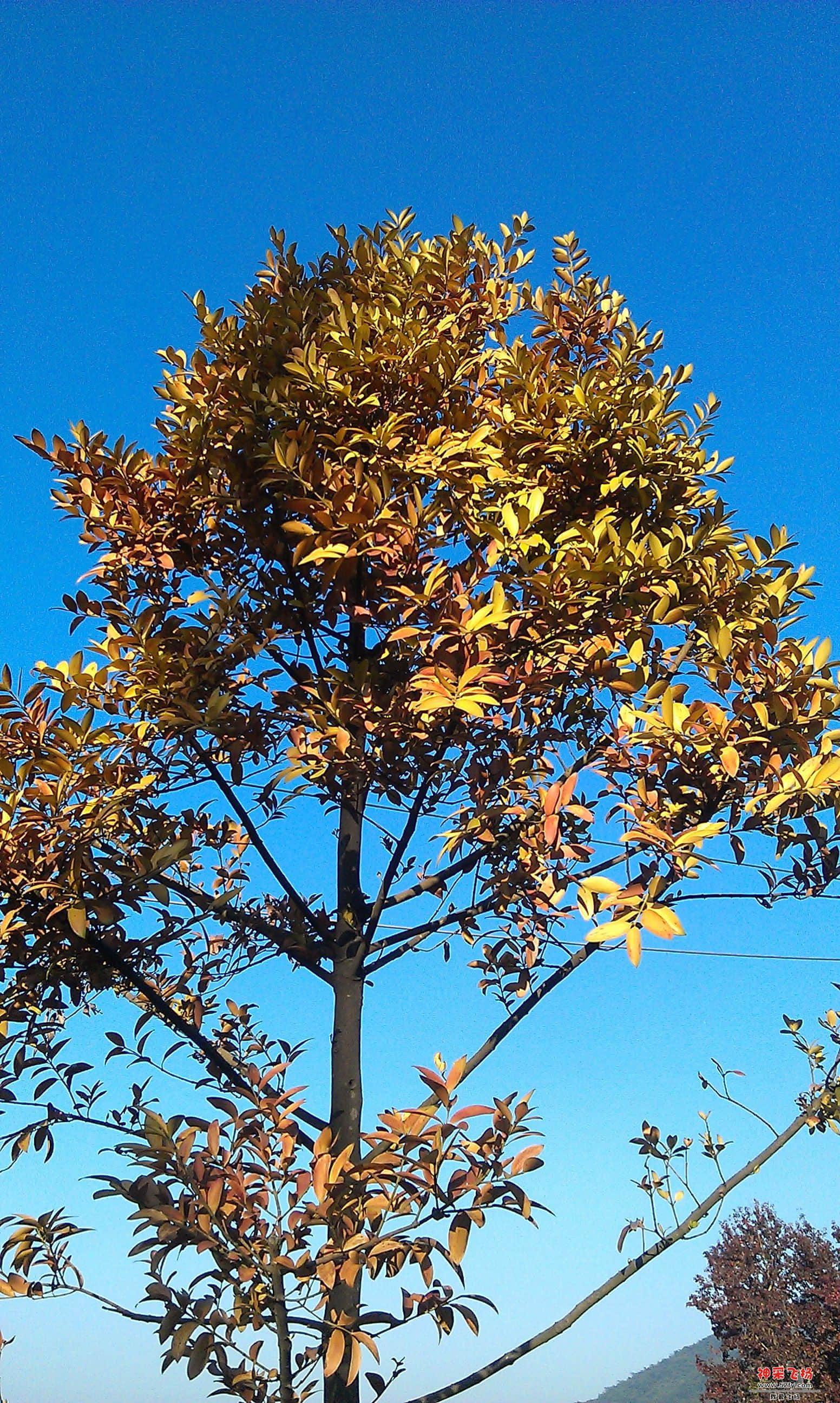 IMAG0030.jpg