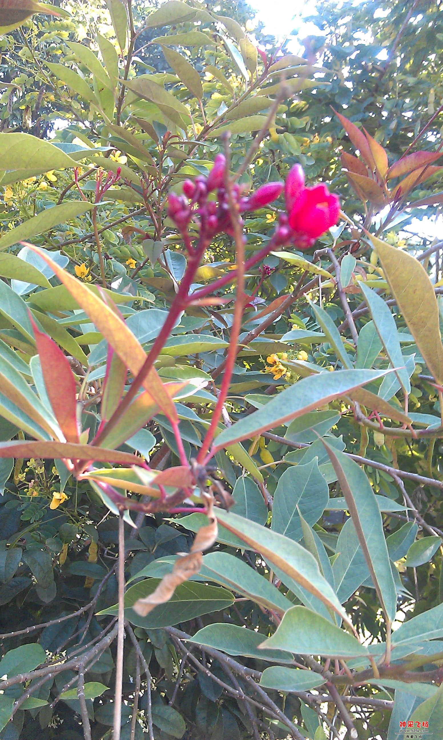 IMAG0048.jpg