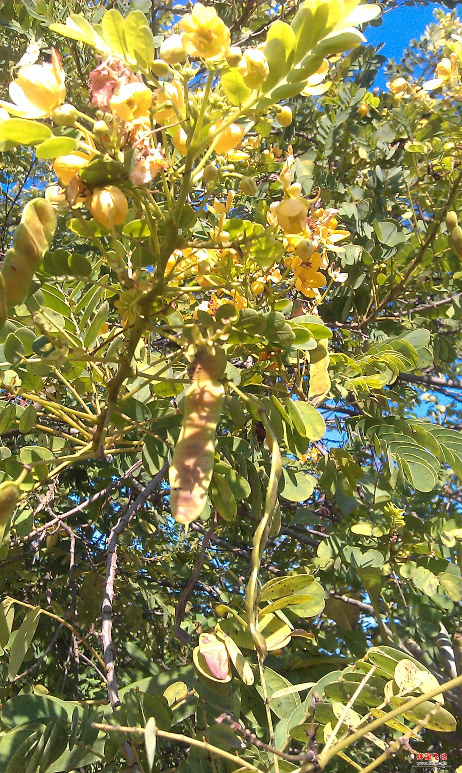 IMAG0049.jpg