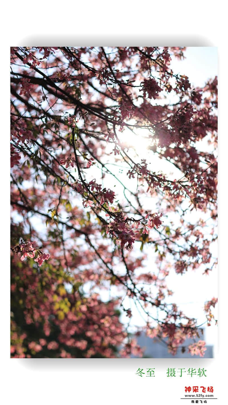 IMG_2380_副本.jpg