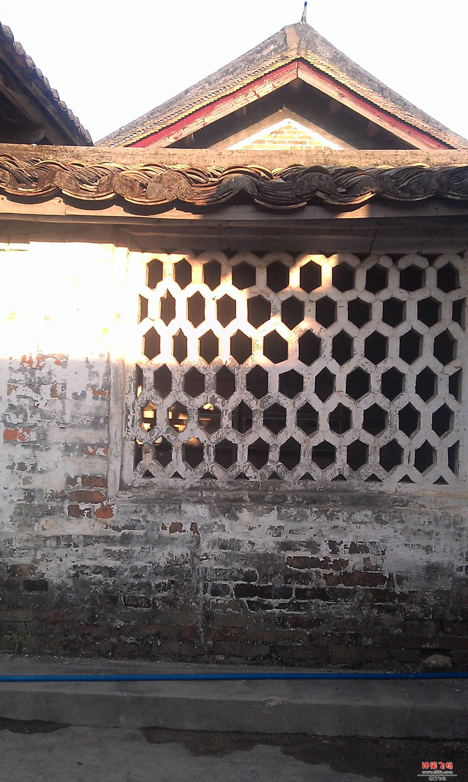 IMAG0036.jpg