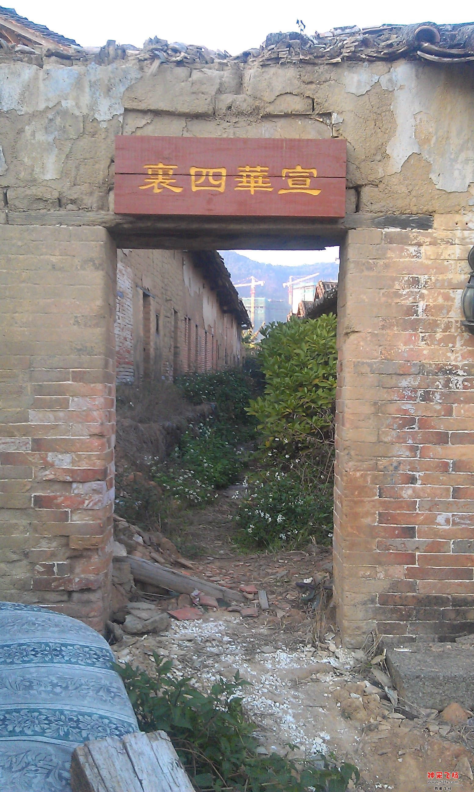 IMAG0045.jpg