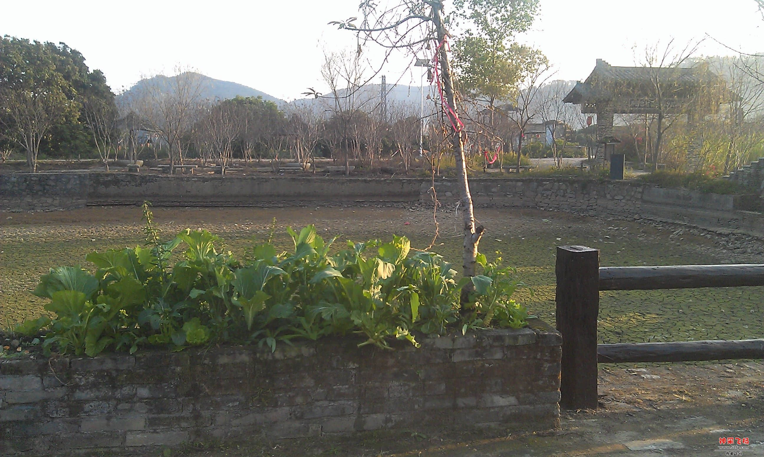 IMAG0049.jpg