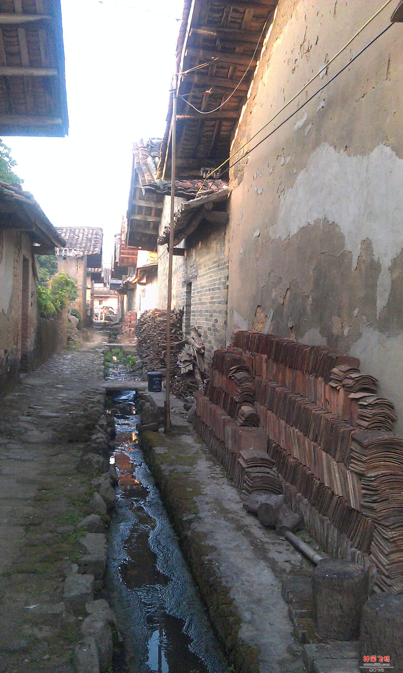 IMAG0051.jpg